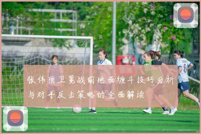 张伟丽卫冕战前地面缠斗技巧分析与对手反击策略的全面解读