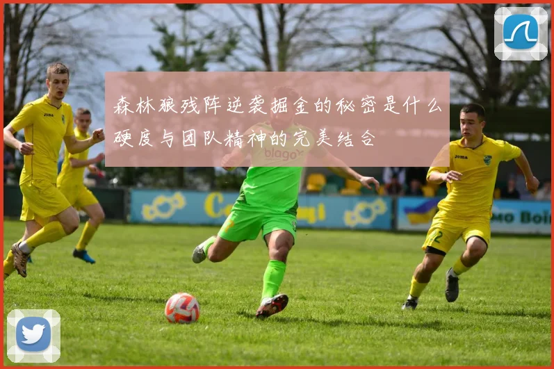 森林狼残阵逆袭掘金的秘密是什么硬度与团队精神的完美结合
