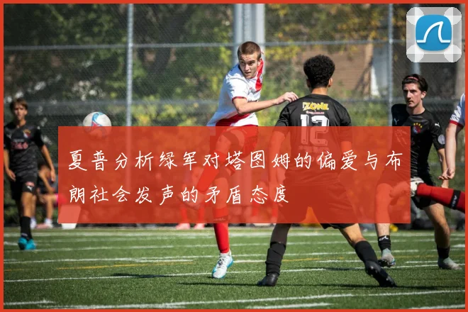 夏普分析绿军对塔图姆的偏爱与布朗社会发声的矛盾态度
