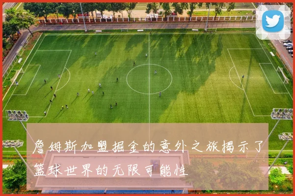 詹姆斯加盟掘金的意外之旅揭示了篮球世界的无限可能性